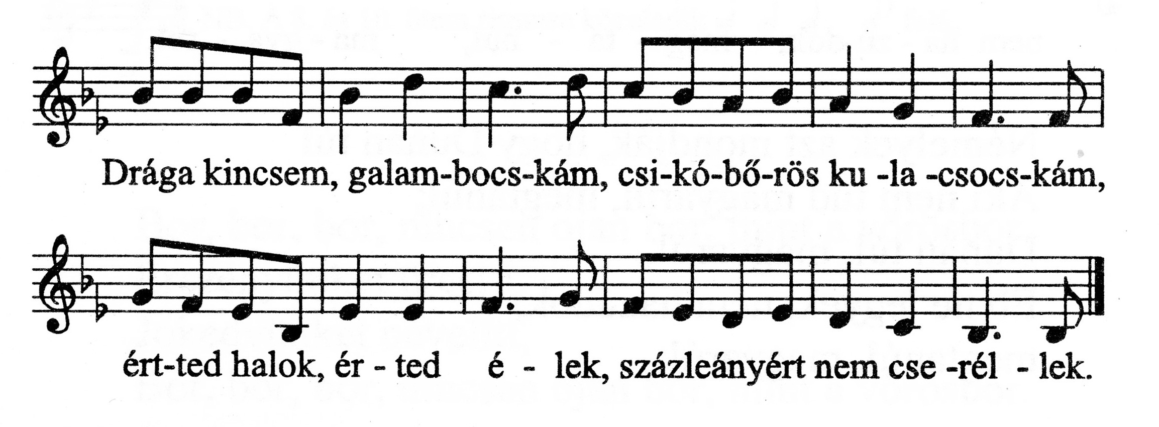 Csokonai3