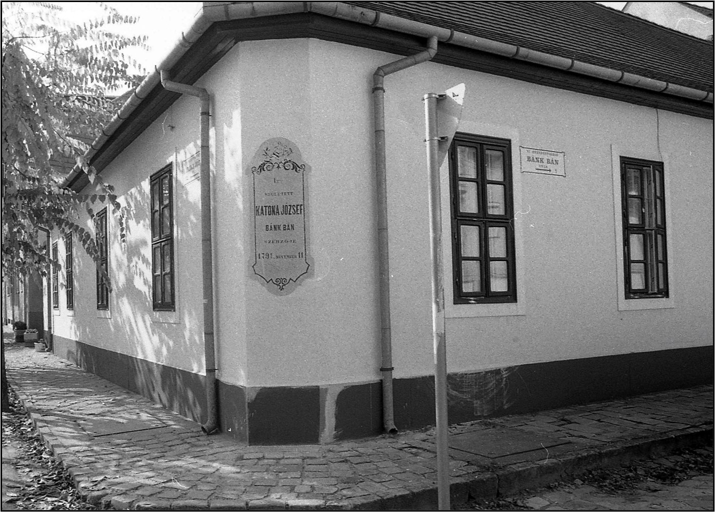 Kép1