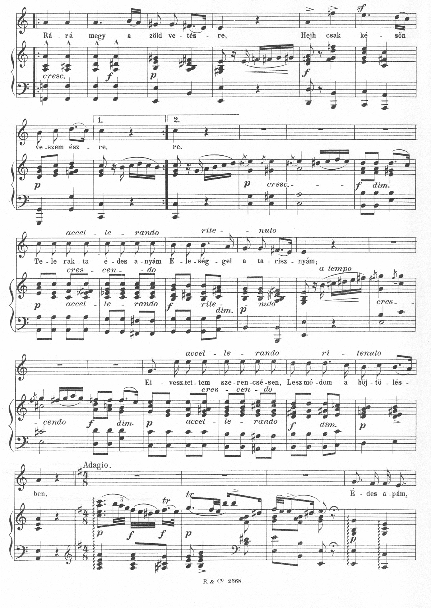 Kép6