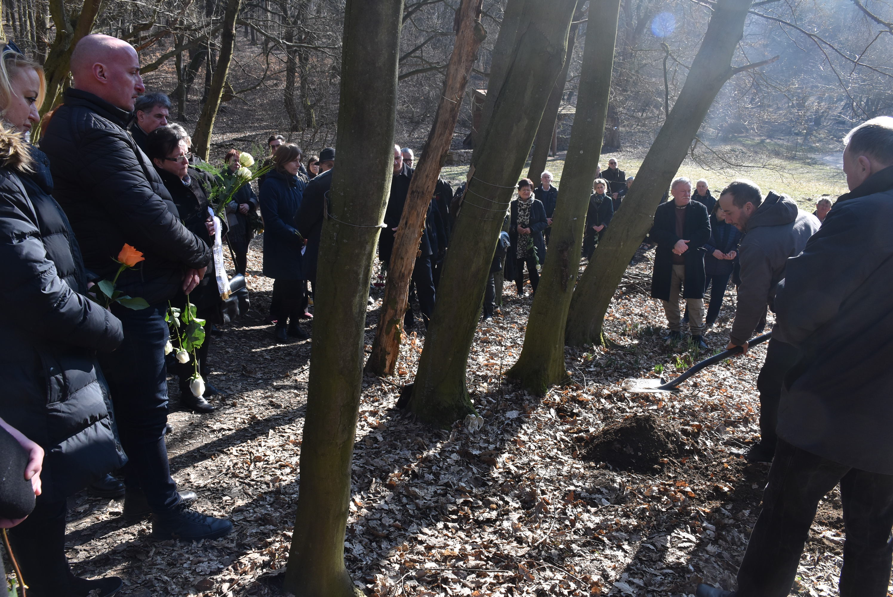 KerékDSC_0718 (1)
