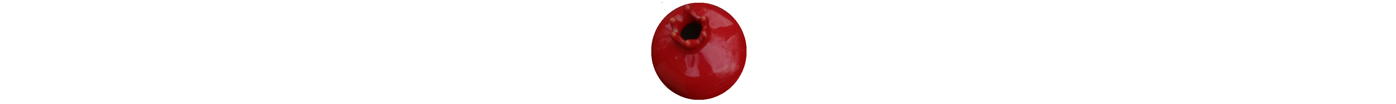 punica1