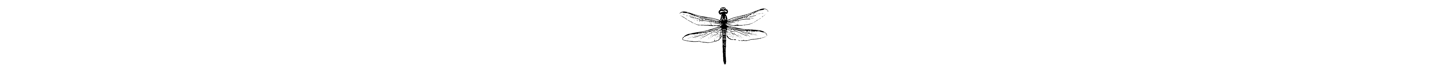 symp1