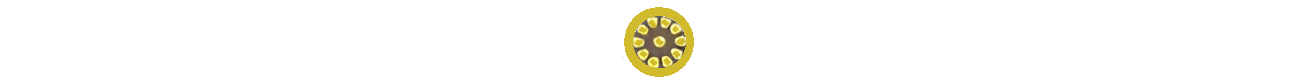 nmi