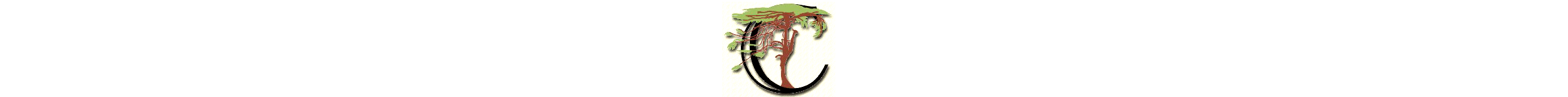 cedrus